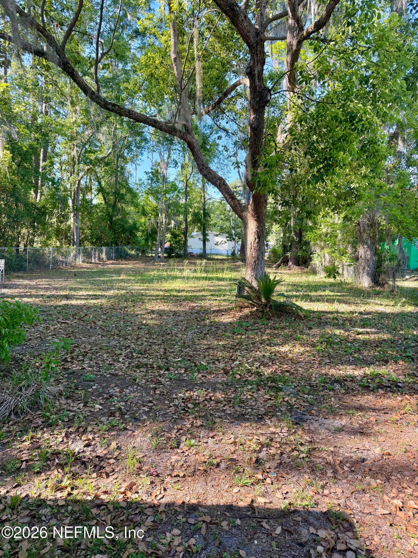 Back yard under mature trees